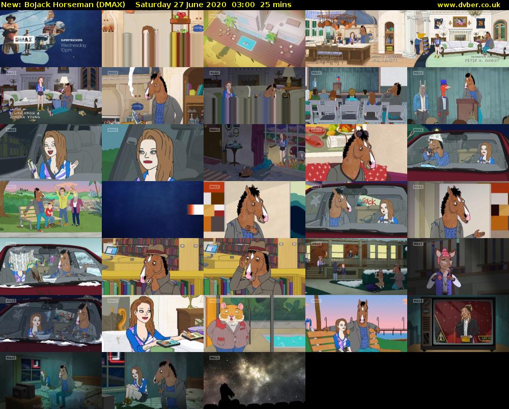 BoJack Horseman (DMAX) Saturday 27 June 2020 03:00 - 03:25