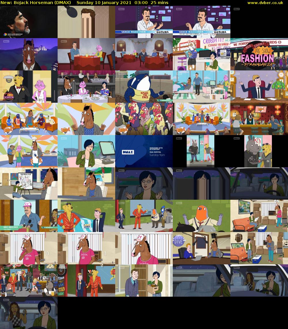 BoJack Horseman (DMAX) Sunday 10 January 2021 03:00 - 03:25