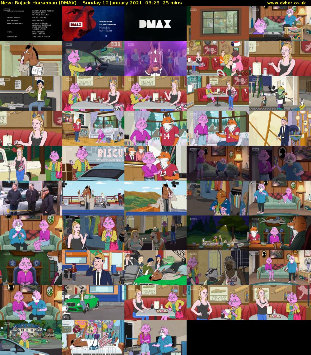 BoJack Horseman (DMAX) Sunday 10 January 2021 03:25 - 03:50