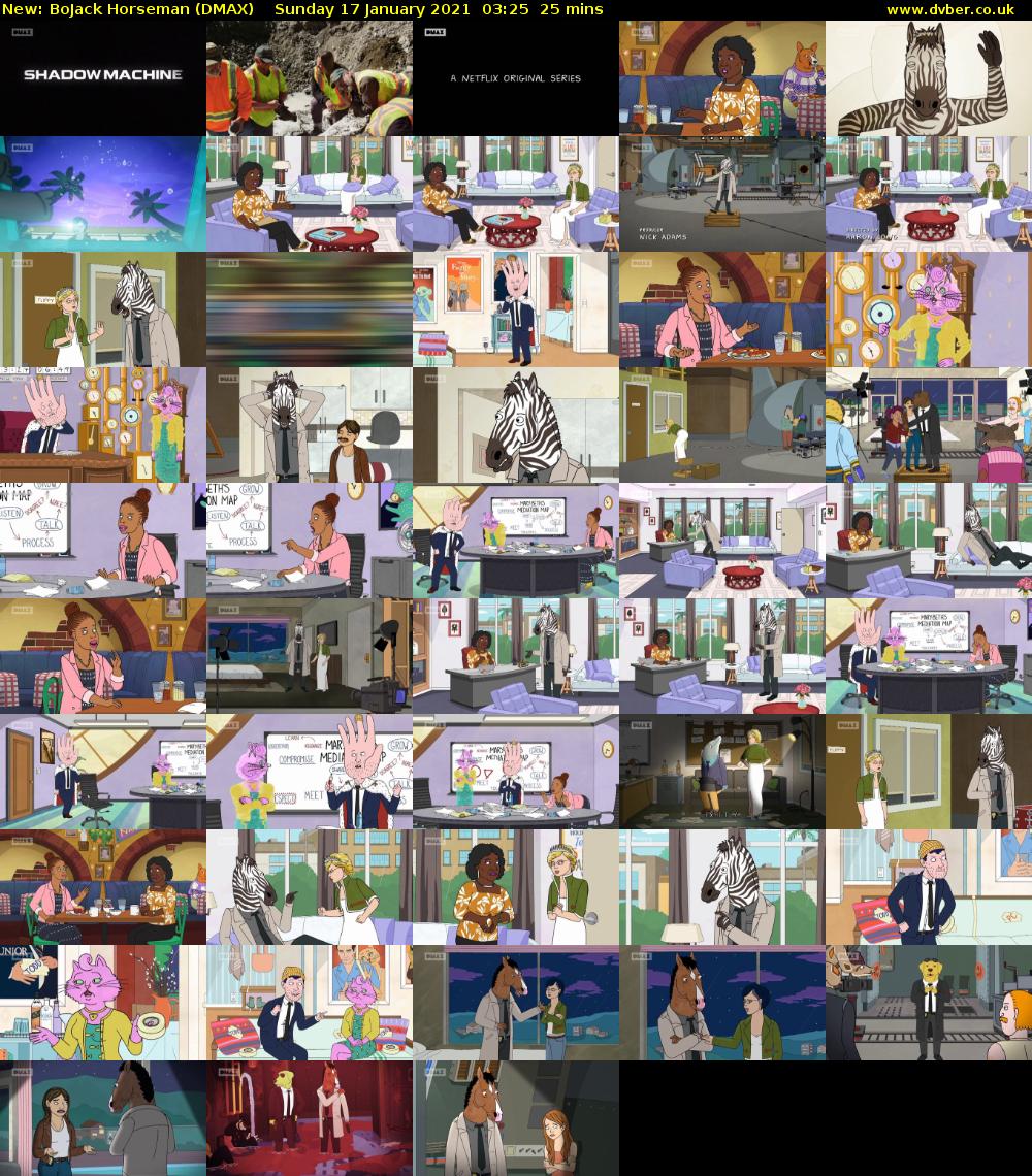 BoJack Horseman (DMAX) Sunday 17 January 2021 03:25 - 03:50