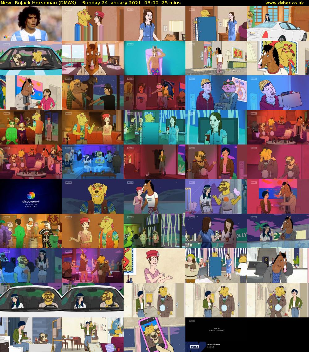 BoJack Horseman (DMAX) Sunday 24 January 2021 03:00 - 03:25