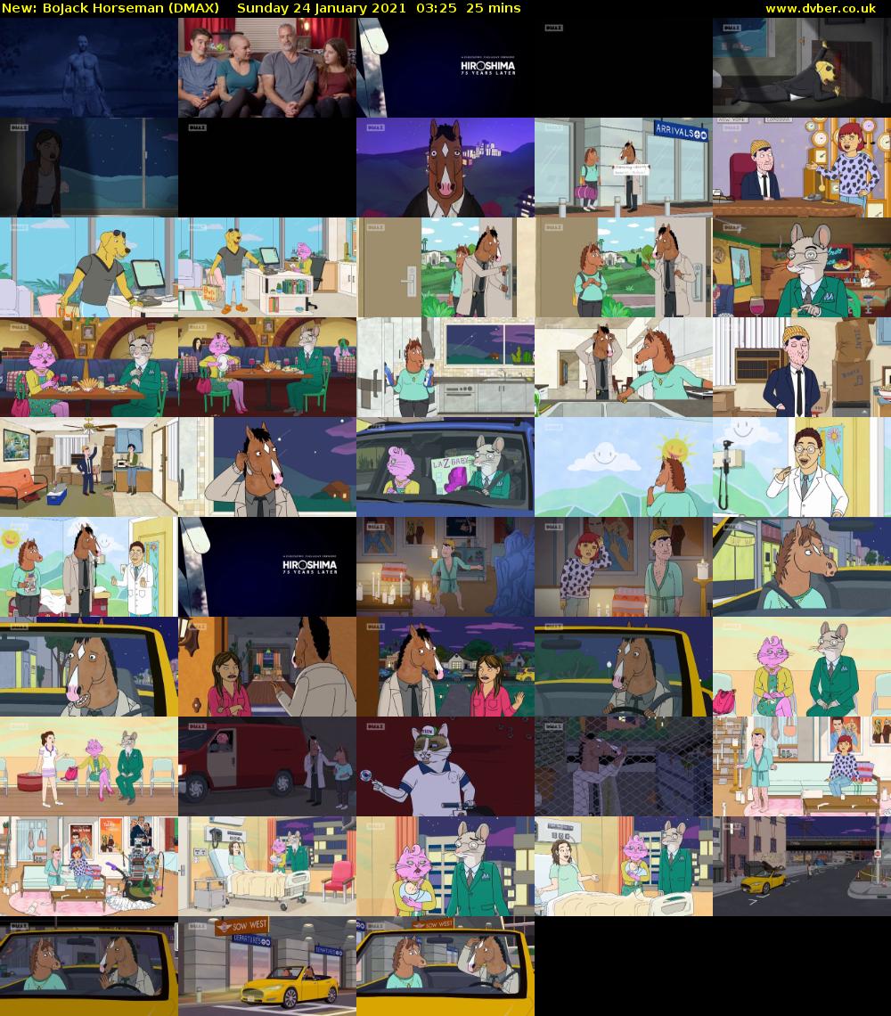 BoJack Horseman (DMAX) Sunday 24 January 2021 03:25 - 03:50