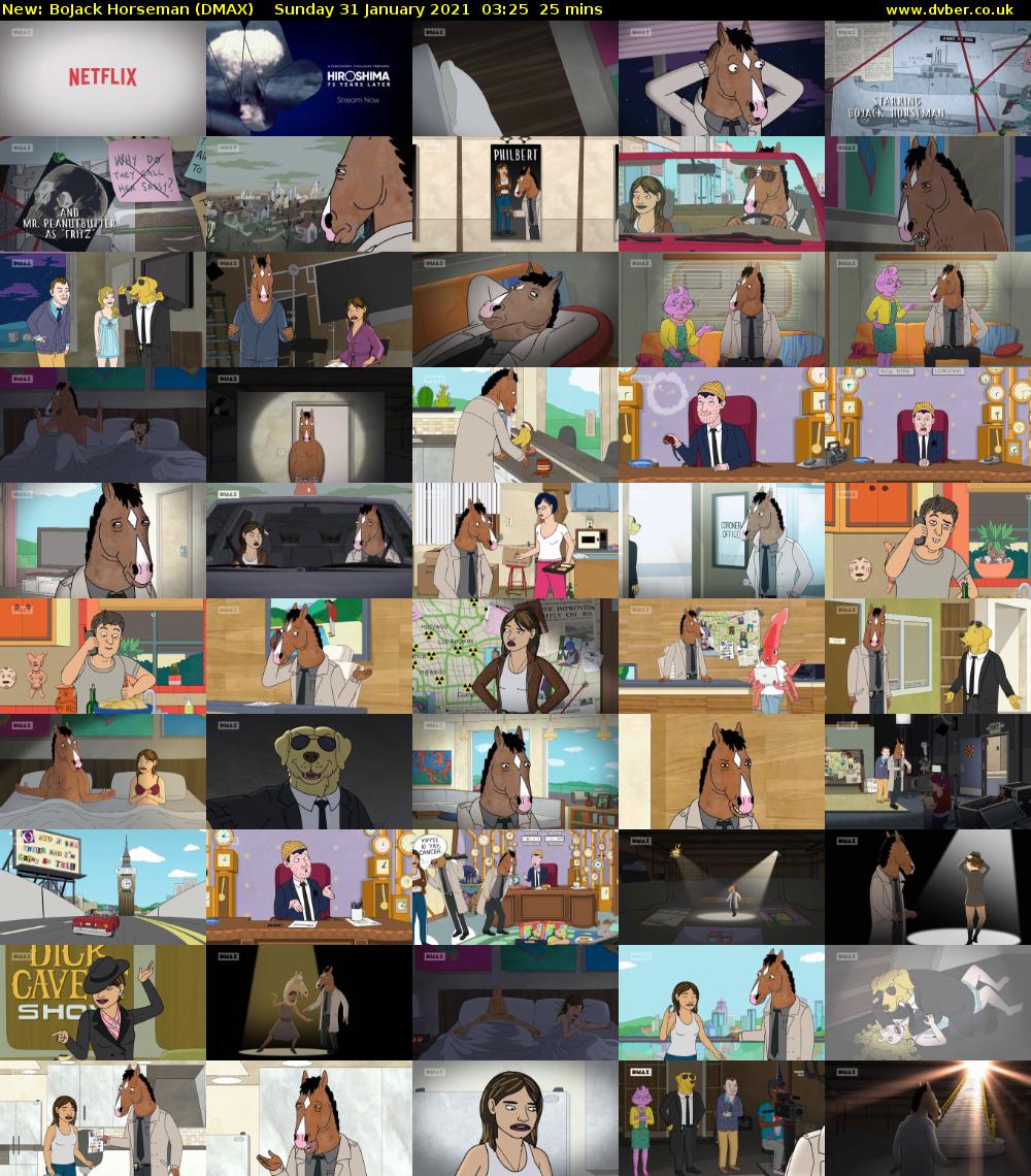 BoJack Horseman (DMAX) Sunday 31 January 2021 03:25 - 03:50