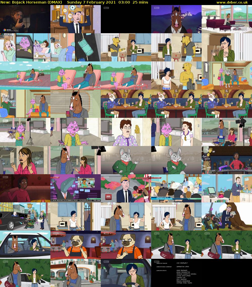 BoJack Horseman (DMAX) Sunday 7 February 2021 03:00 - 03:25