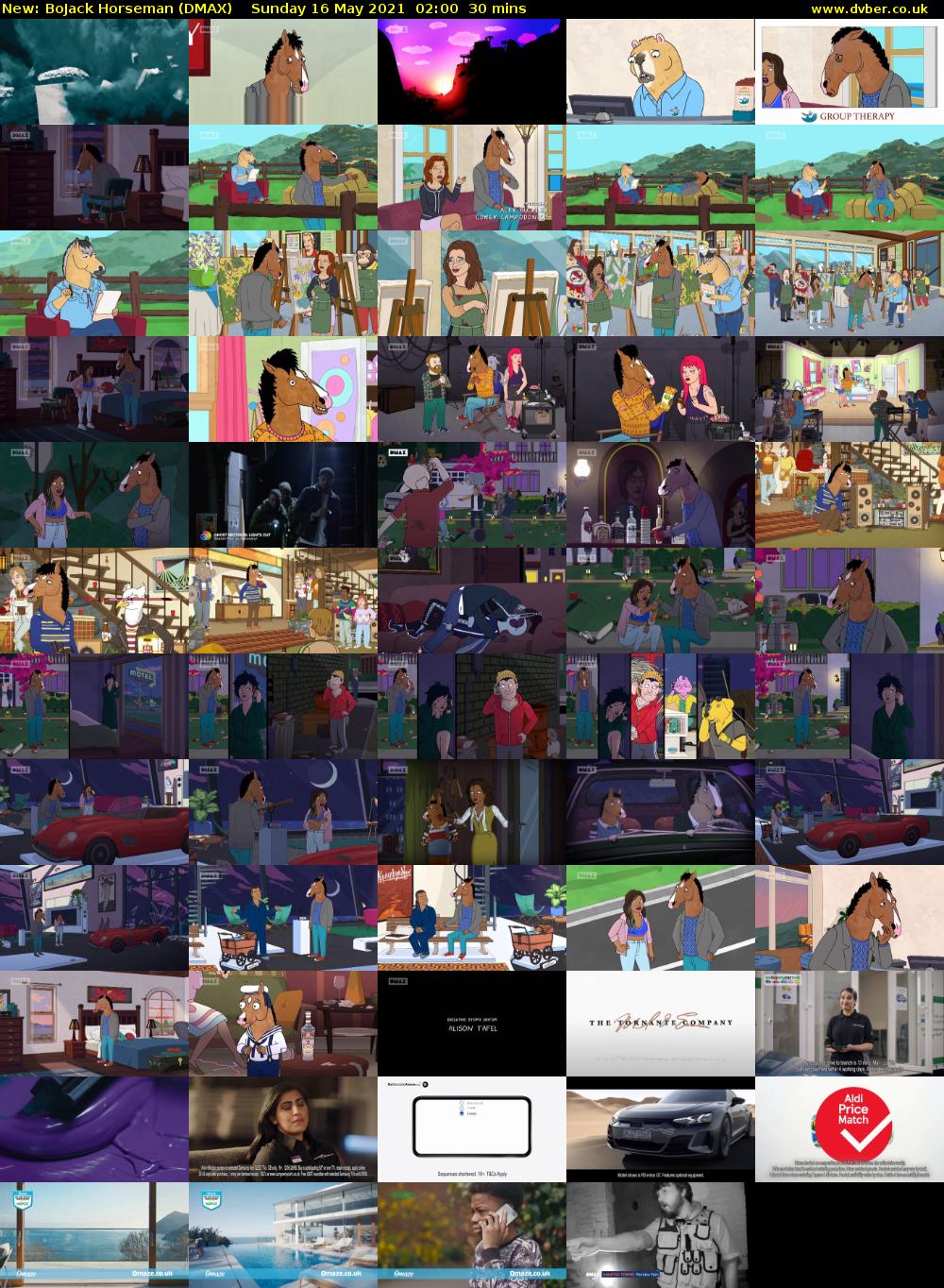 BoJack Horseman (DMAX) Sunday 16 May 2021 02:00 - 02:30