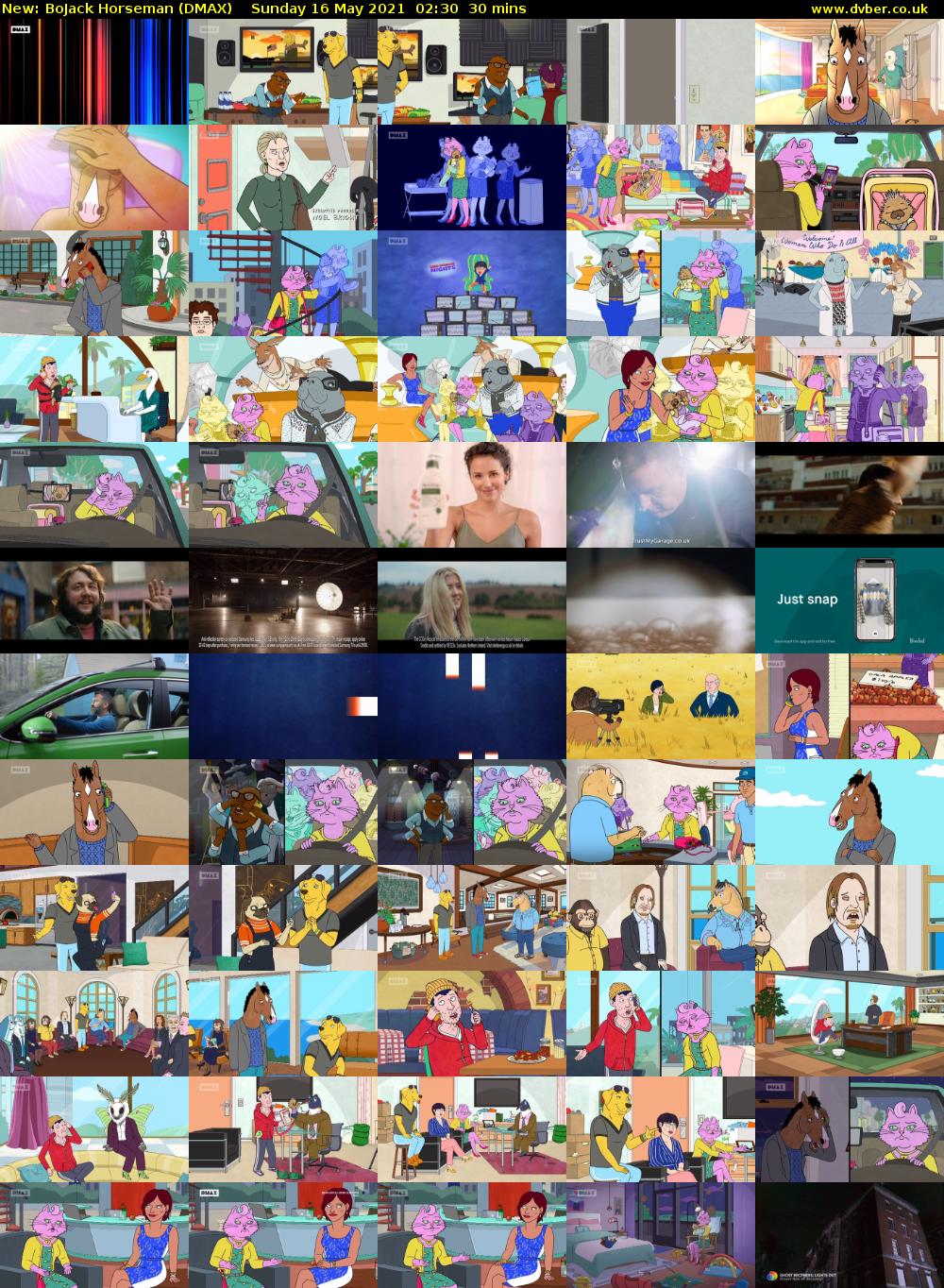 BoJack Horseman (DMAX) Sunday 16 May 2021 02:30 - 03:00