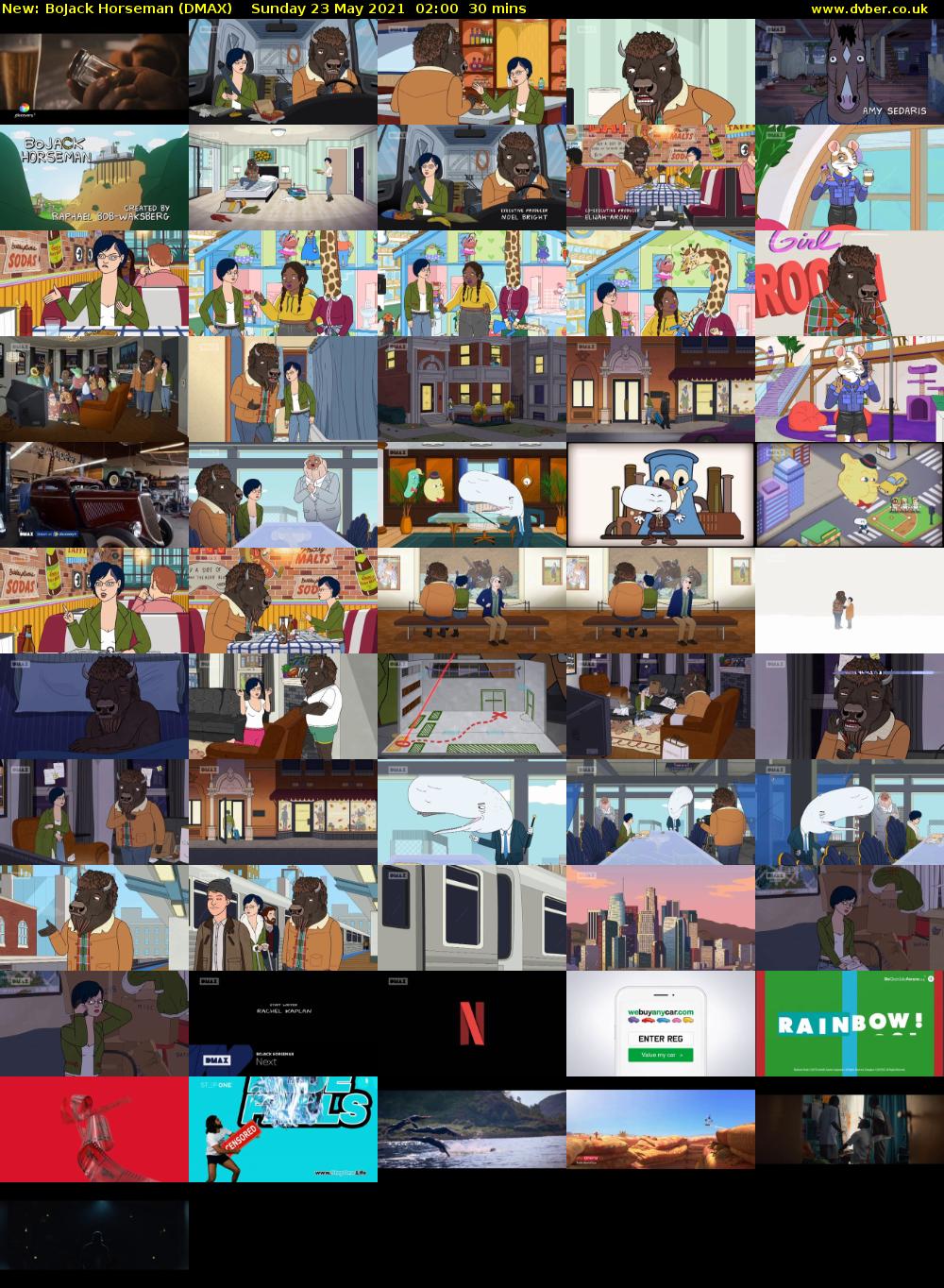 BoJack Horseman (DMAX) Sunday 23 May 2021 02:00 - 02:30