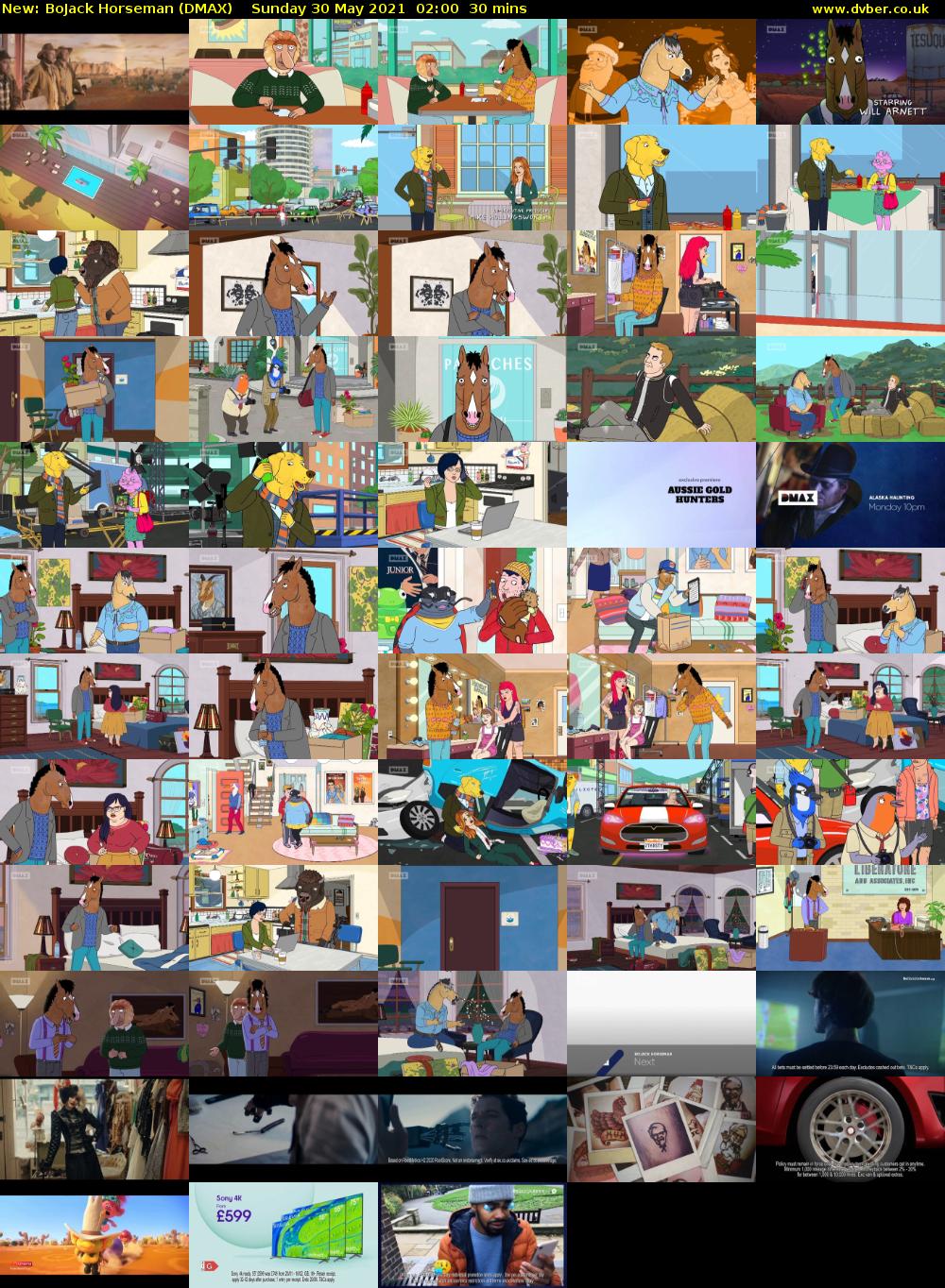 BoJack Horseman (DMAX) Sunday 30 May 2021 02:00 - 02:30