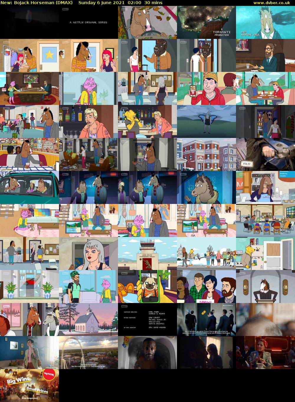 BoJack Horseman (DMAX) Sunday 6 June 2021 02:00 - 02:30