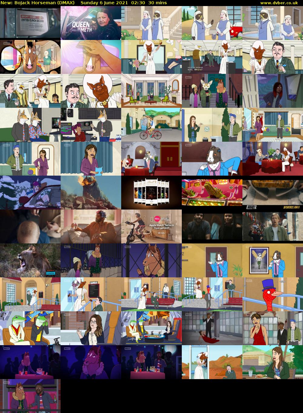 BoJack Horseman (DMAX) Sunday 6 June 2021 02:30 - 03:00