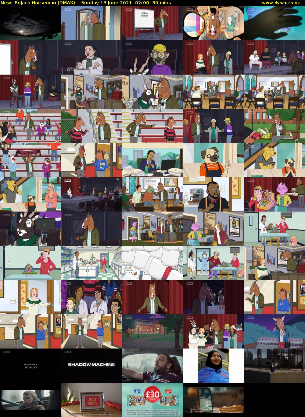 BoJack Horseman (DMAX) Sunday 13 June 2021 02:00 - 02:30