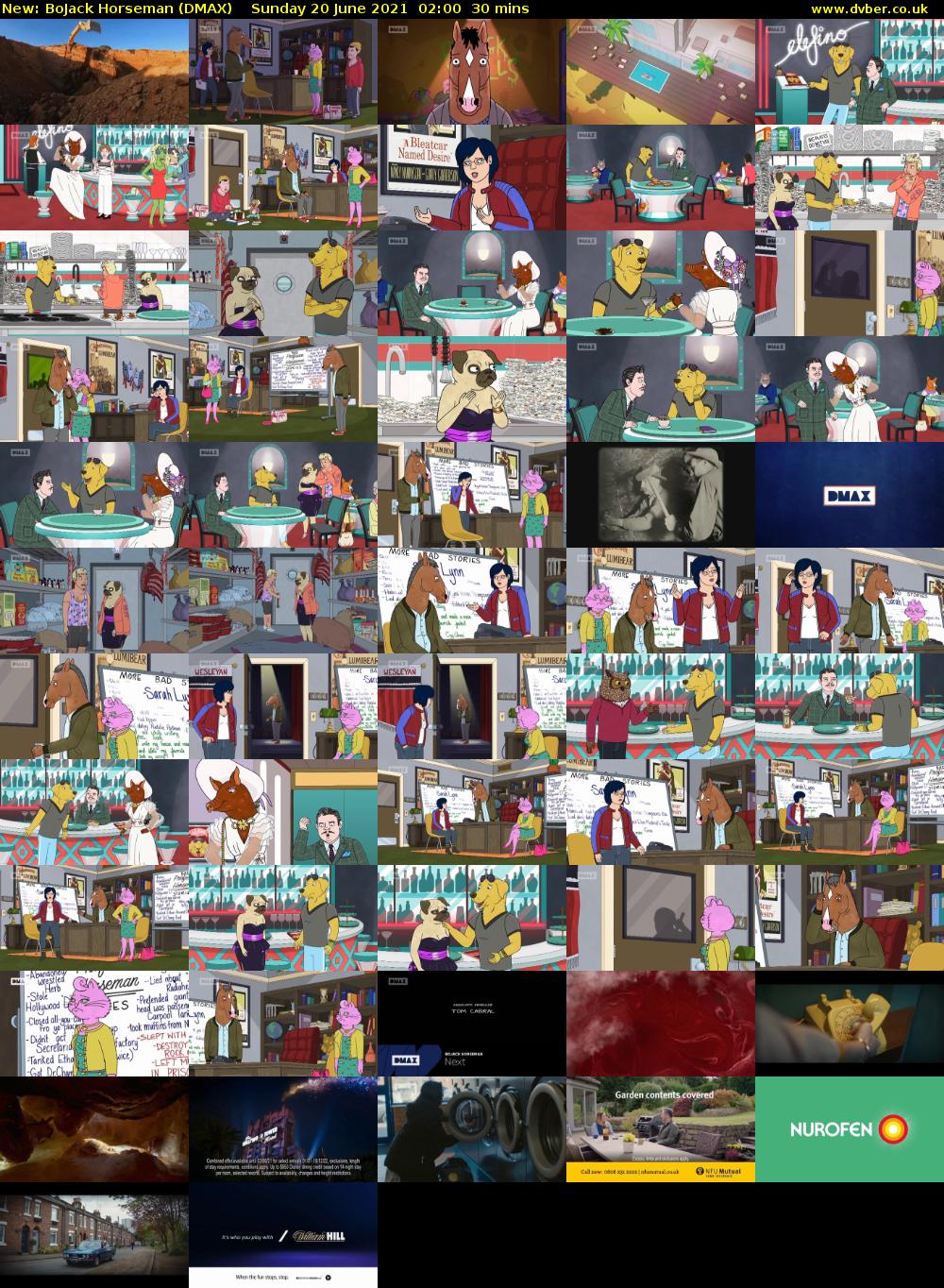 BoJack Horseman (DMAX) Sunday 20 June 2021 02:00 - 02:30
