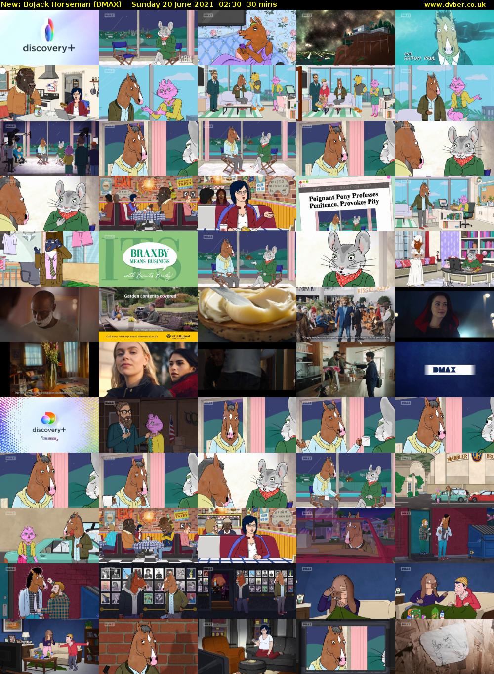 BoJack Horseman (DMAX) Sunday 20 June 2021 02:30 - 03:00