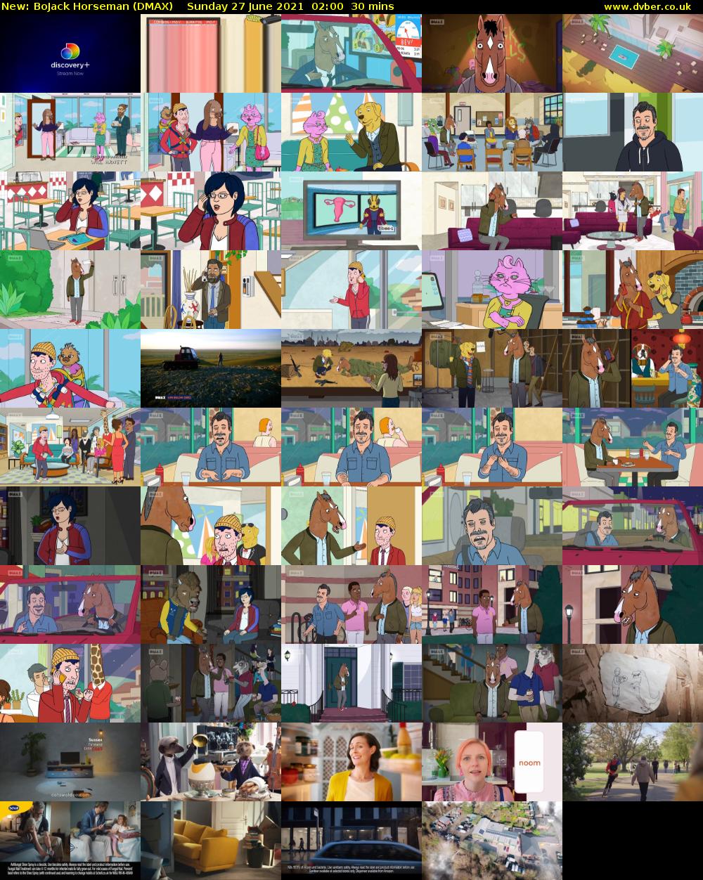 BoJack Horseman (DMAX) Sunday 27 June 2021 02:00 - 02:30