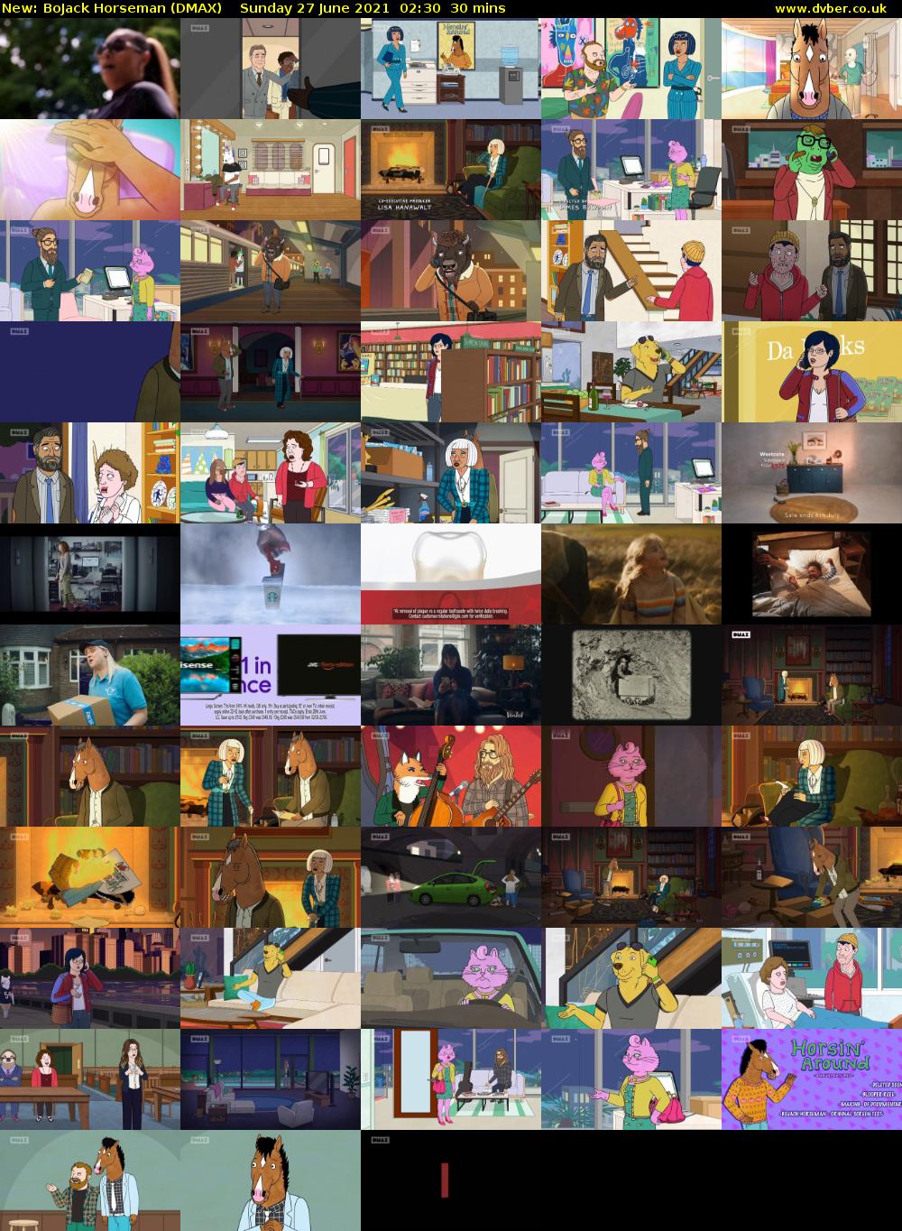 BoJack Horseman (DMAX) Sunday 27 June 2021 02:30 - 03:00