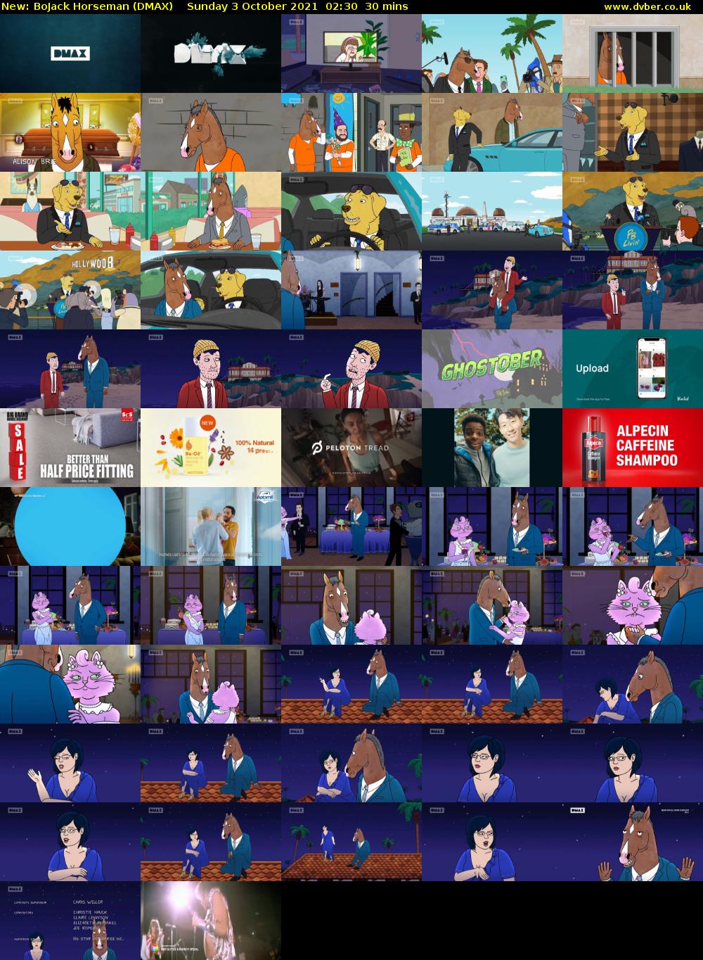 BoJack Horseman (DMAX) Sunday 3 October 2021 02:30 - 03:00