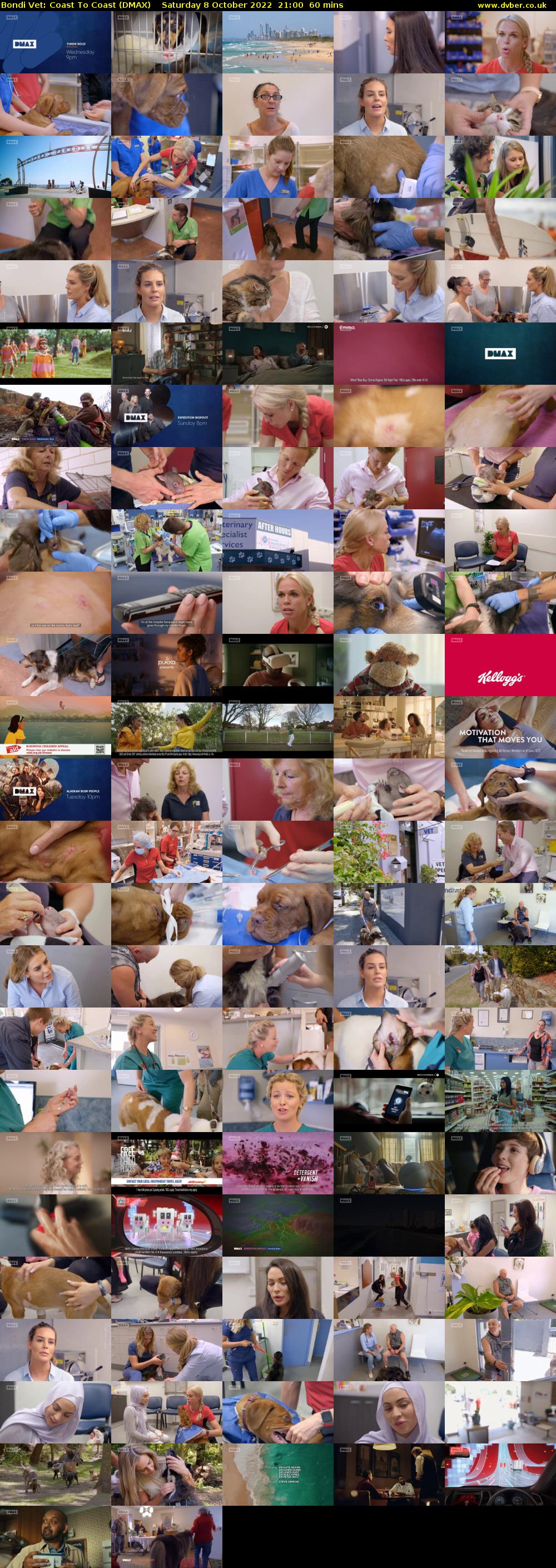 Bondi Vet: Coast To Coast (DMAX) Saturday 8 October 2022 21:00 - 22:00