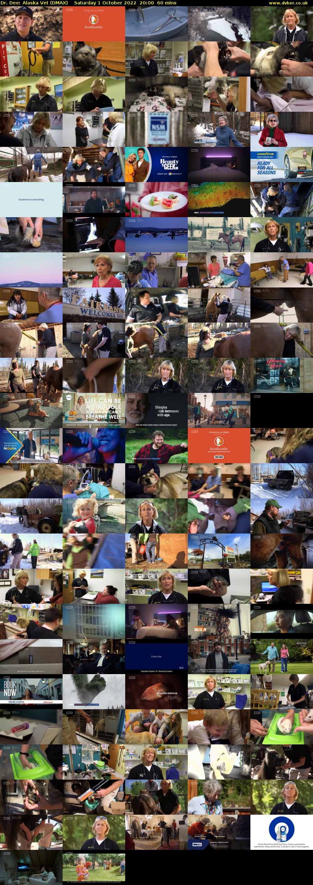 Dr. Dee: Alaska Vet (DMAX) Saturday 1 October 2022 20:00 - 21:00