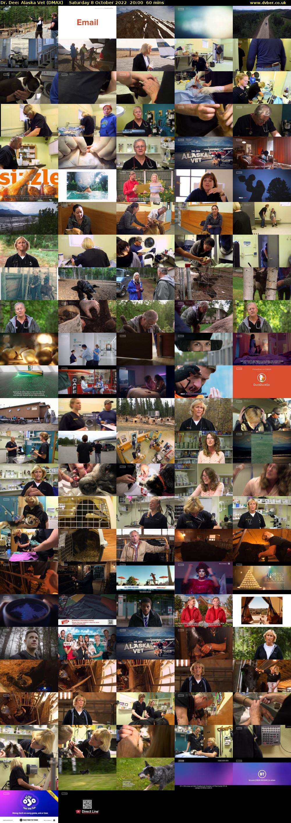 Dr. Dee: Alaska Vet (DMAX) Saturday 8 October 2022 20:00 - 21:00