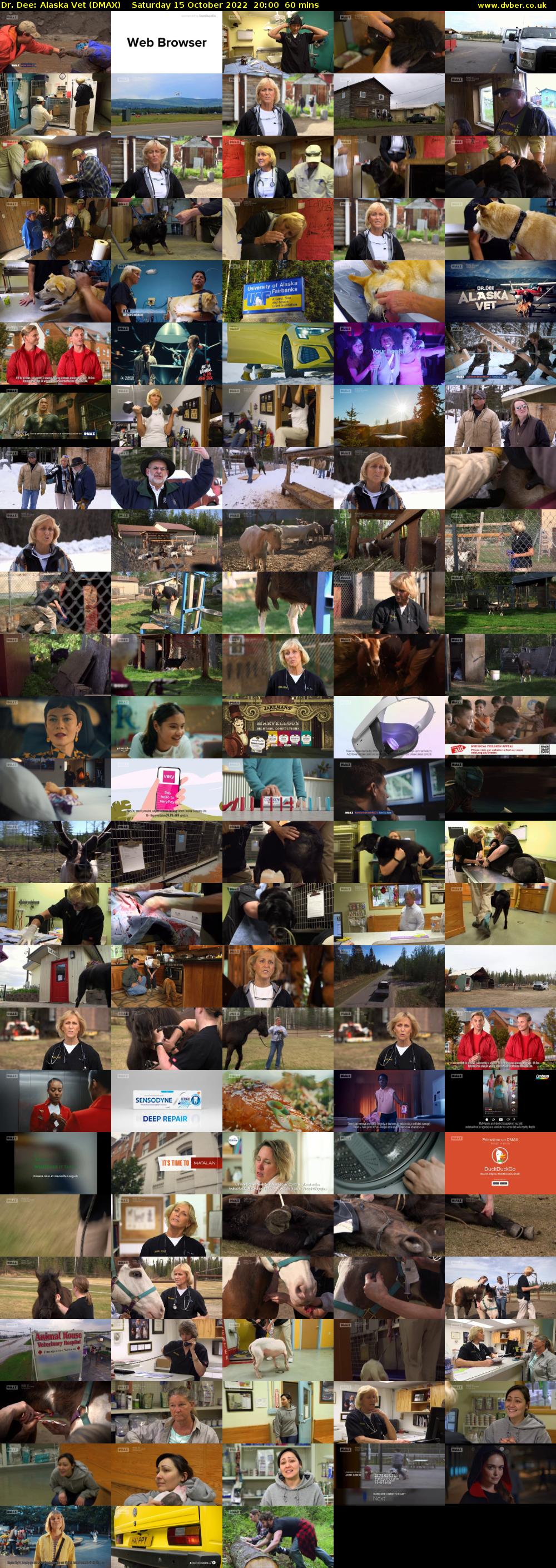 Dr. Dee: Alaska Vet (DMAX) Saturday 15 October 2022 20:00 - 21:00