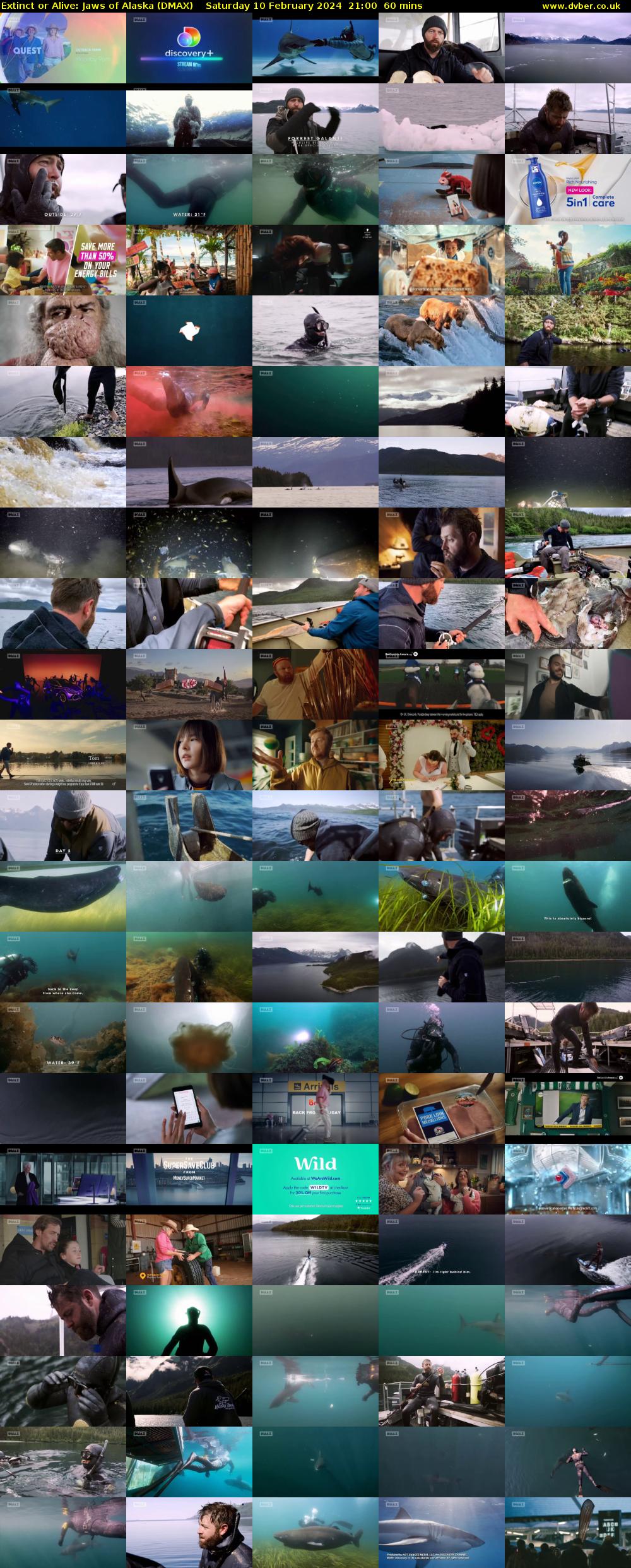 Extinct or Alive: Jaws of Alaska (DMAX) Saturday 10 February 2024 21:00 - 22:00