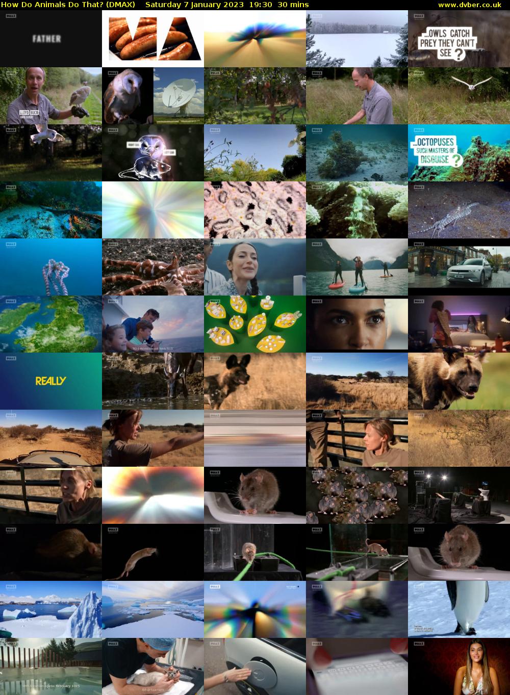 How Do Animals Do That? (DMAX) Saturday 7 January 2023 19:30 - 20:00