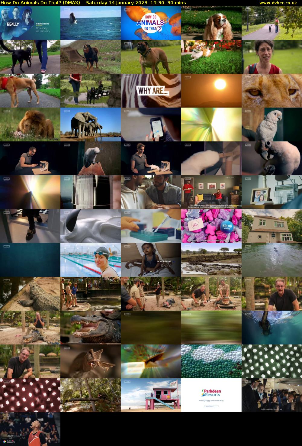 How Do Animals Do That? (DMAX) Saturday 14 January 2023 19:30 - 20:00