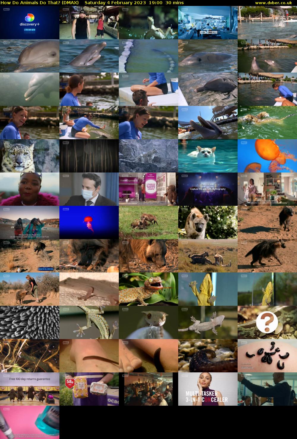 How Do Animals Do That? (DMAX) Saturday 4 February 2023 19:00 - 19:30