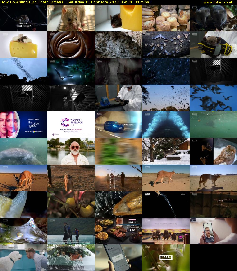 How Do Animals Do That? (DMAX) Saturday 11 February 2023 19:00 - 19:30
