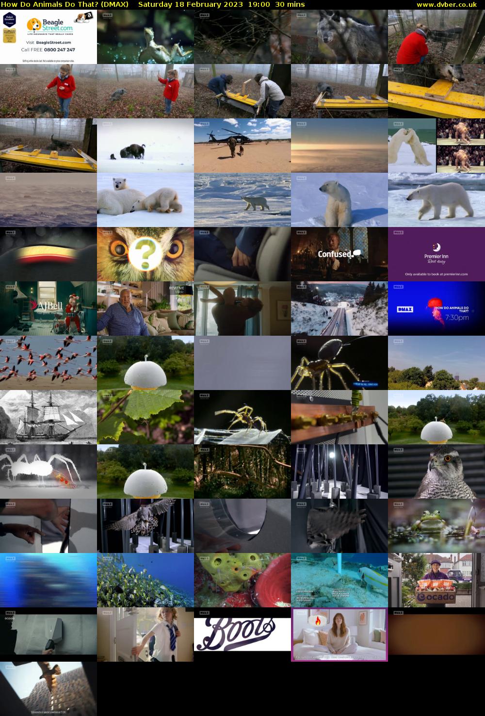 How Do Animals Do That? (DMAX) Saturday 18 February 2023 19:00 - 19:30