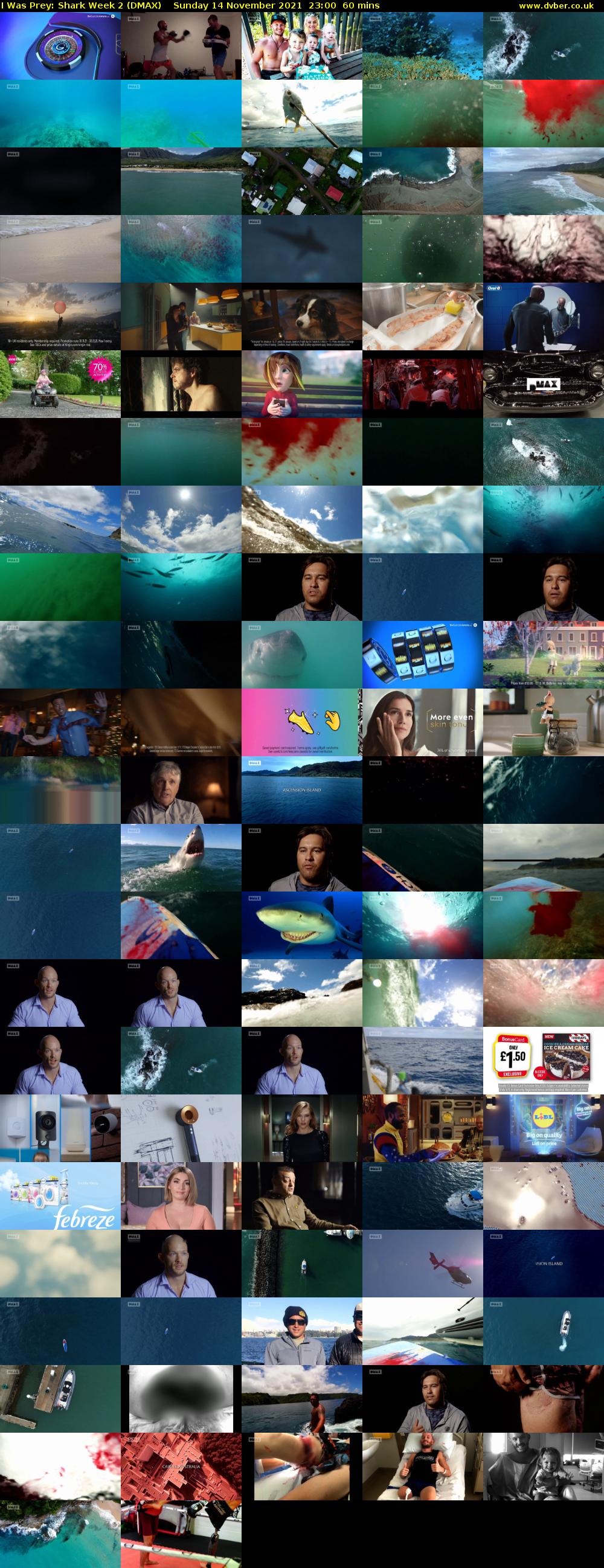 I Was Prey: Shark Week 2 (DMAX) Sunday 14 November 2021 23:00 - 00:00