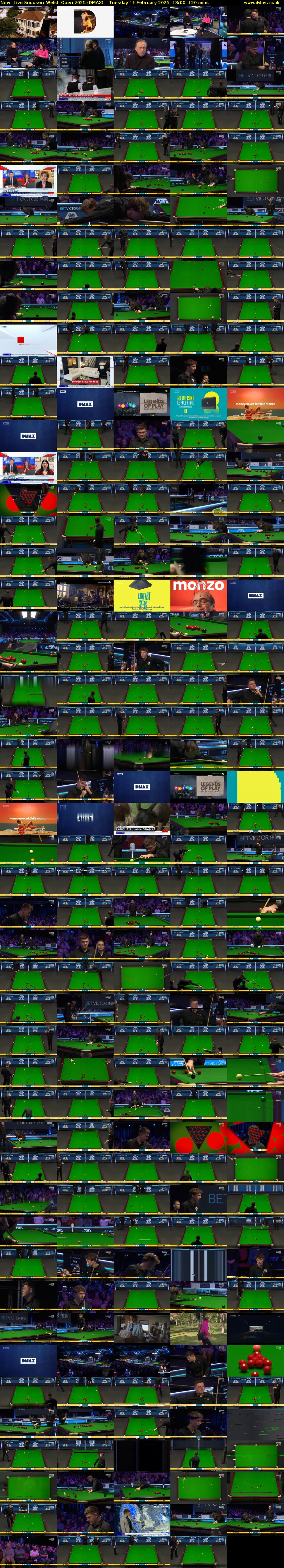 Live Snooker: Welsh Open 2025 (DMAX) Tuesday 11 February 2025 13:00 - 15:00