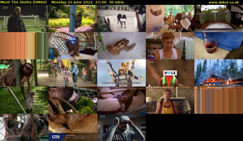 Meet The Sloths (DMAX) Monday 20 June 2022 21:00 - 21:30