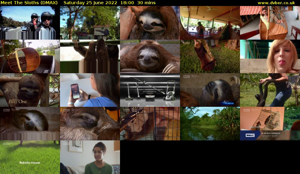 Meet The Sloths (DMAX) Saturday 25 June 2022 18:00 - 18:30