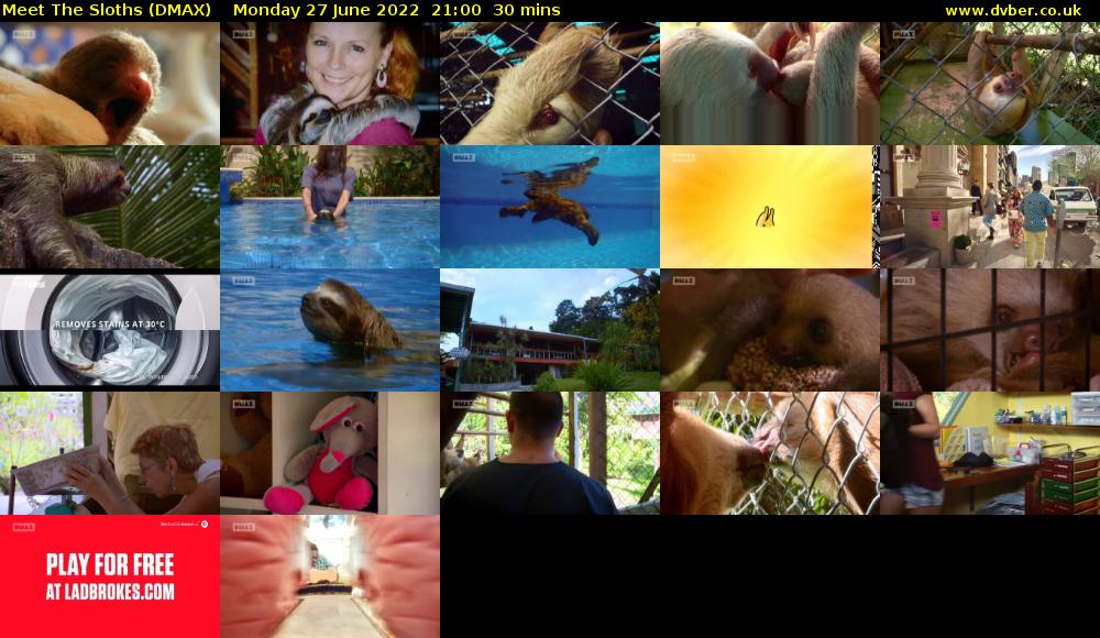 Meet The Sloths (DMAX) Monday 27 June 2022 21:00 - 21:30