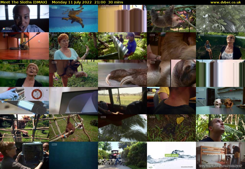 Meet The Sloths (DMAX) Monday 11 July 2022 21:00 - 21:30