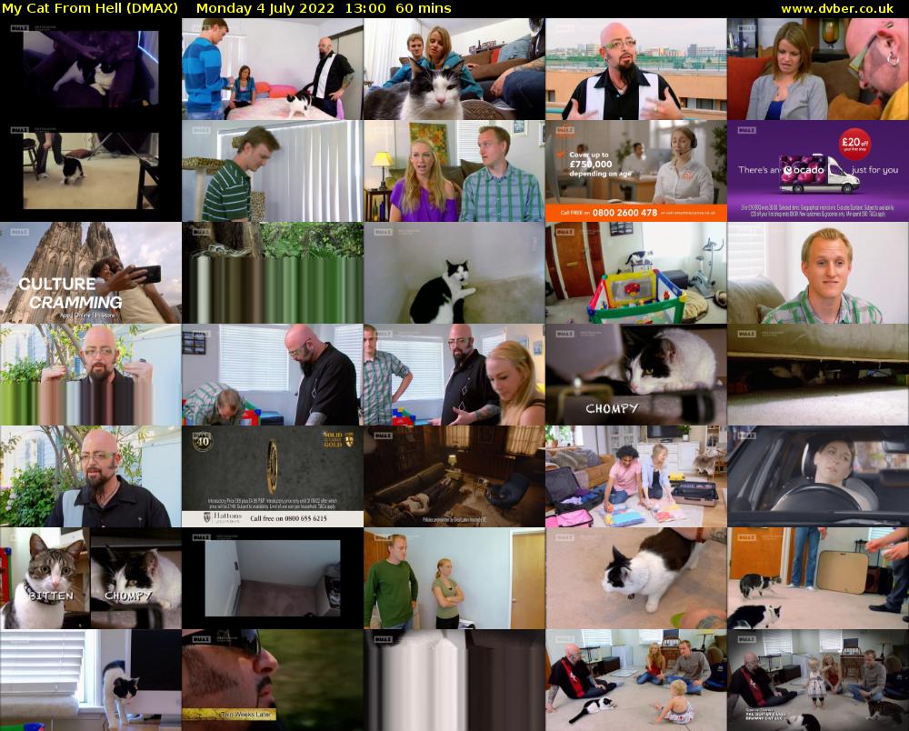 My Cat From Hell (DMAX) Monday 4 July 2022 13:00 - 14:00