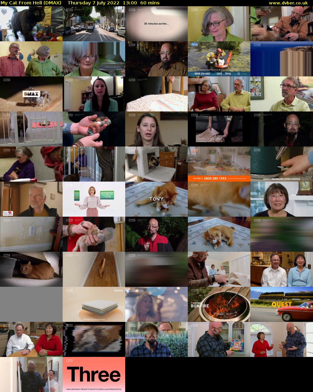 My Cat From Hell (DMAX) Thursday 7 July 2022 13:00 - 14:00
