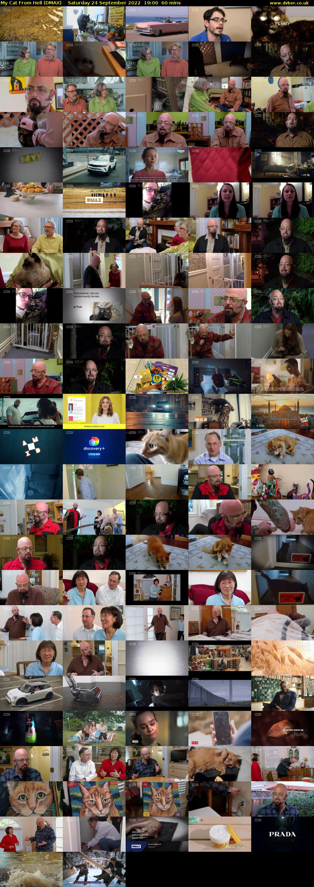 My Cat From Hell (DMAX) Saturday 24 September 2022 19:00 - 20:00