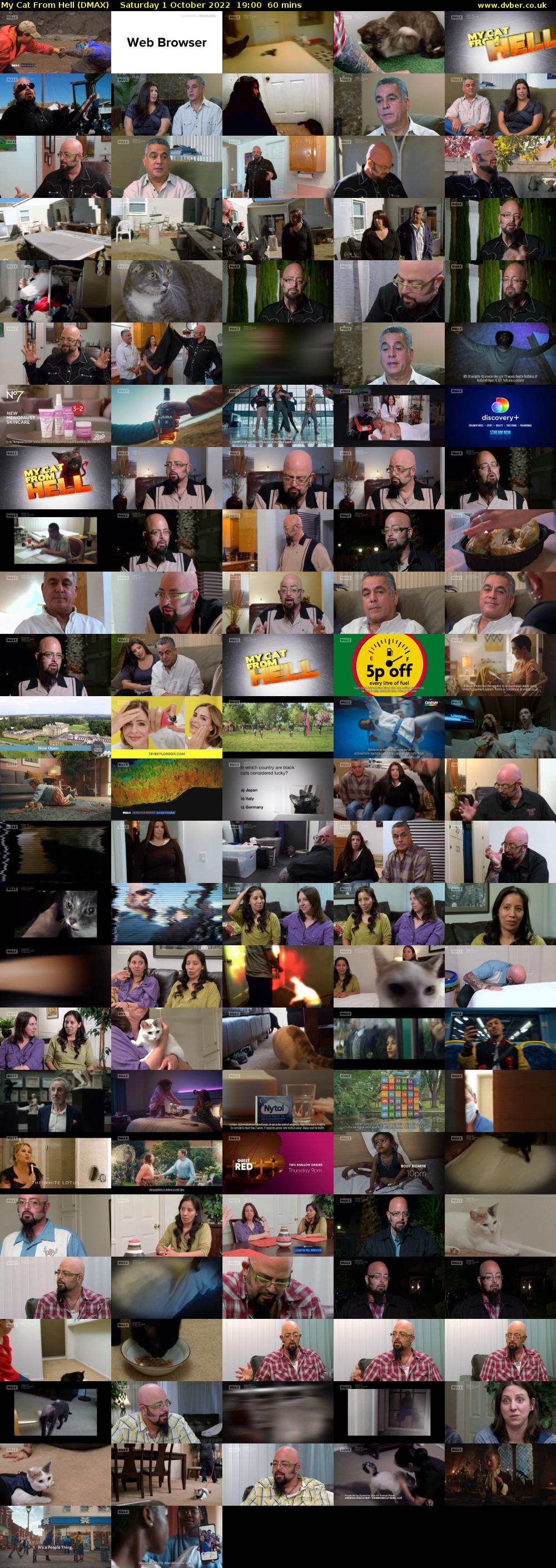 My Cat From Hell (DMAX) Saturday 1 October 2022 19:00 - 20:00