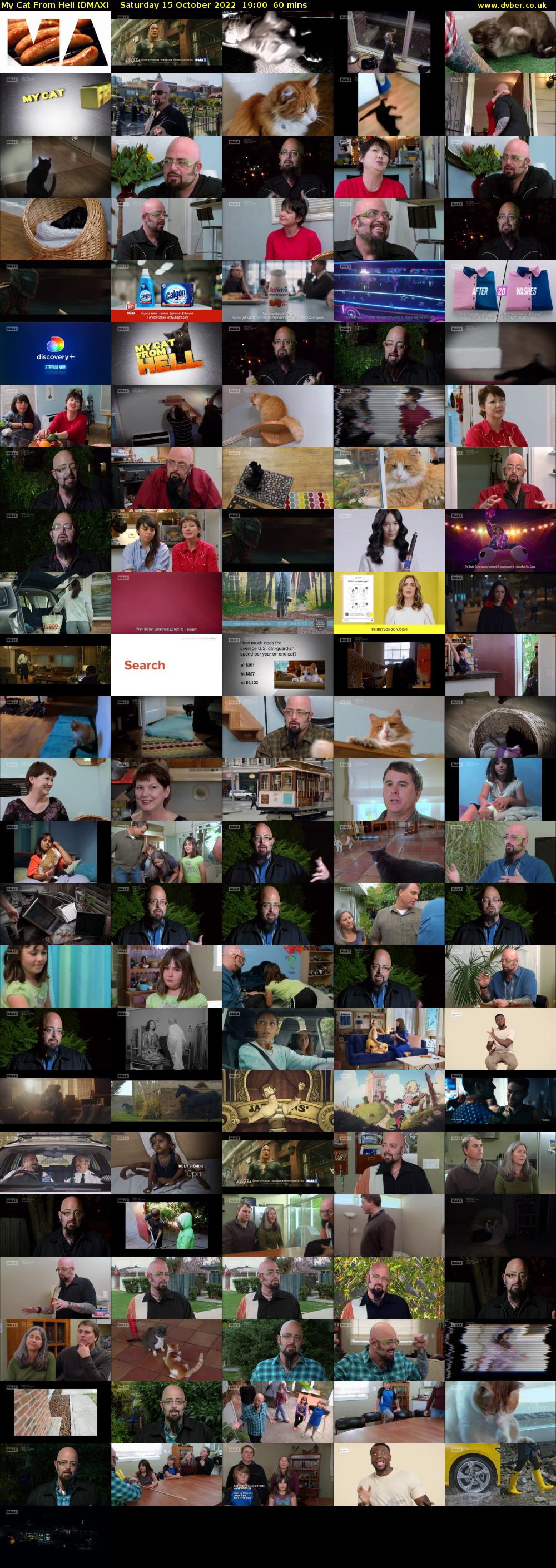 My Cat From Hell (DMAX) Saturday 15 October 2022 19:00 - 20:00
