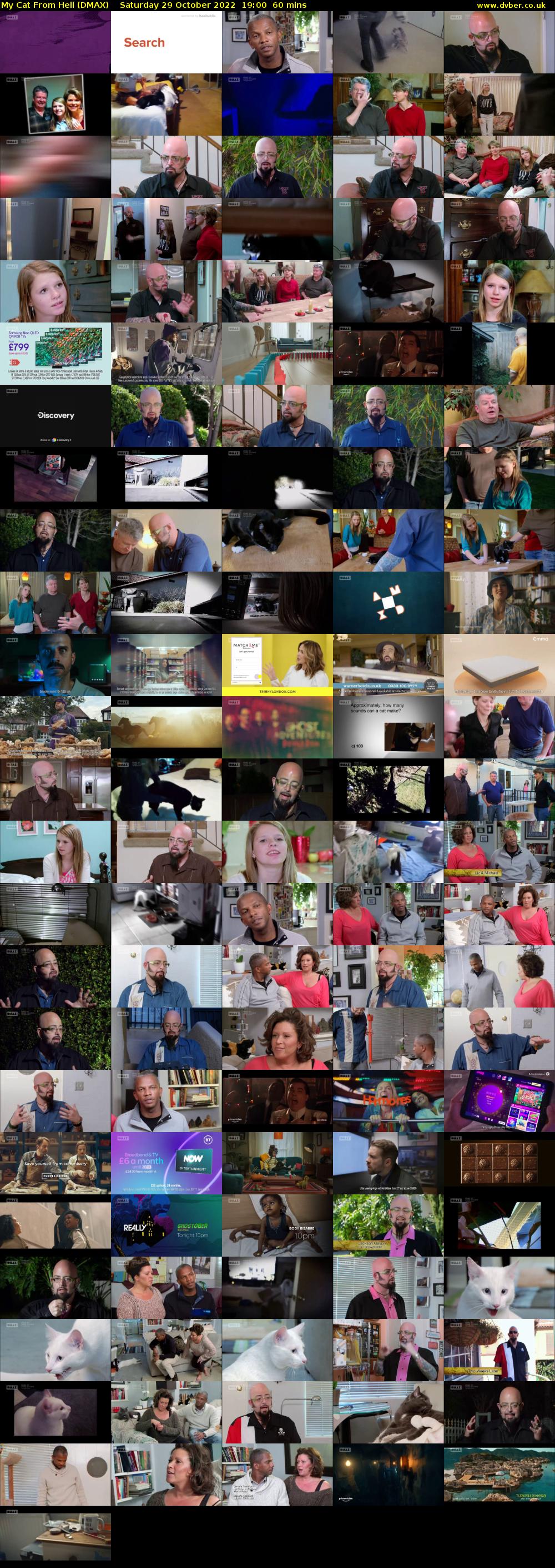My Cat From Hell (DMAX) Saturday 29 October 2022 19:00 - 20:00