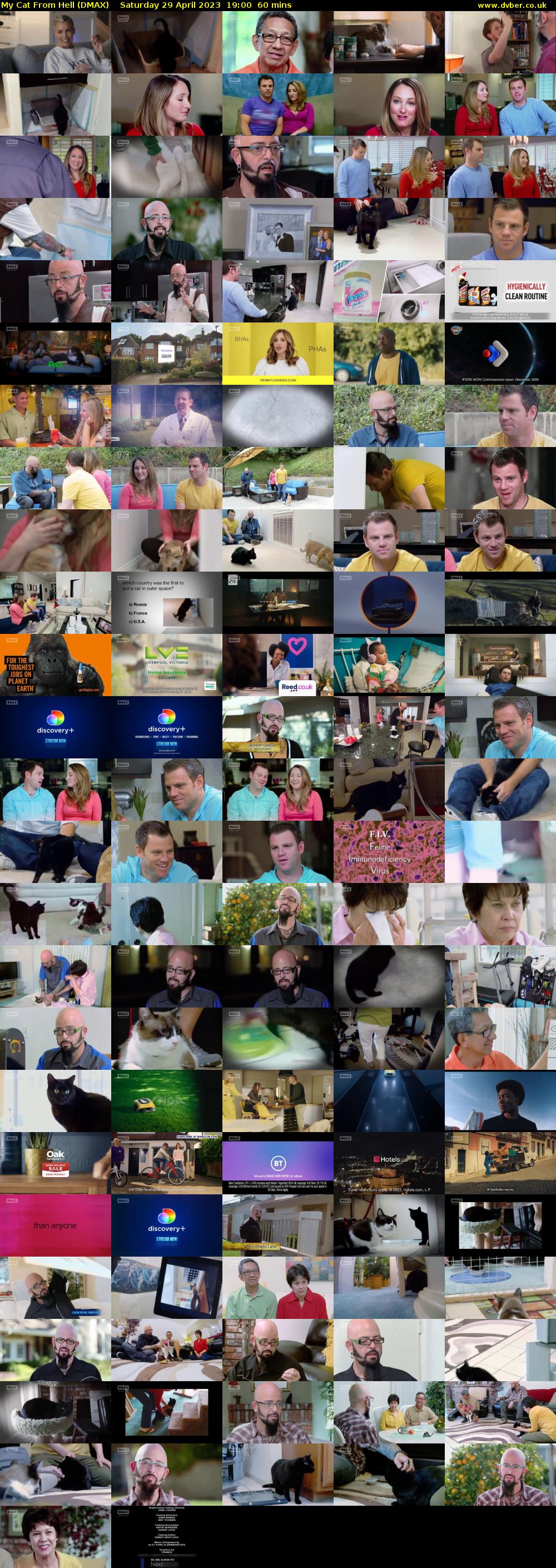 My Cat From Hell (DMAX) Saturday 29 April 2023 19:00 - 20:00