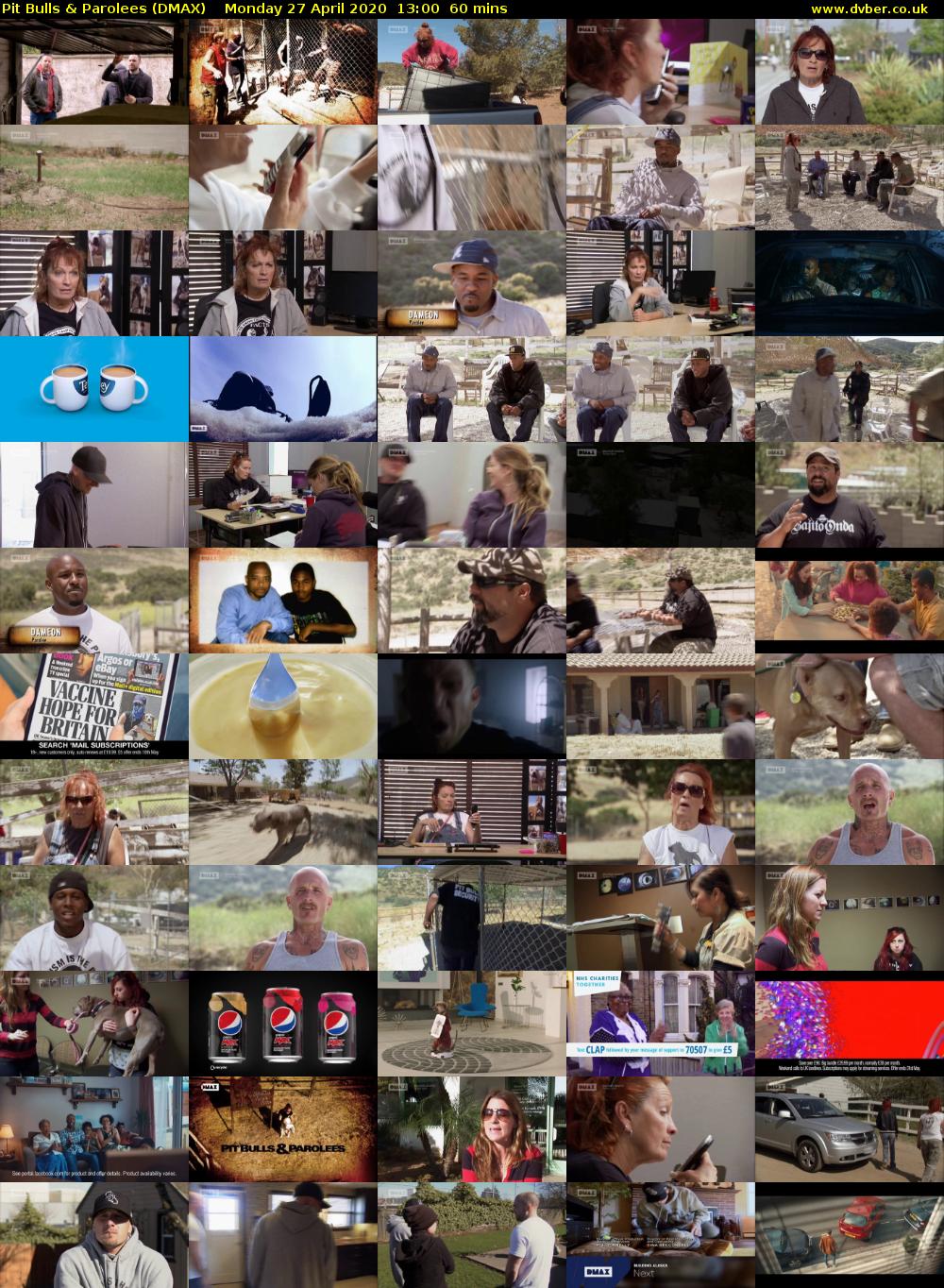 Pit Bulls & Parolees (DMAX) Monday 27 April 2020 13:00 - 14:00