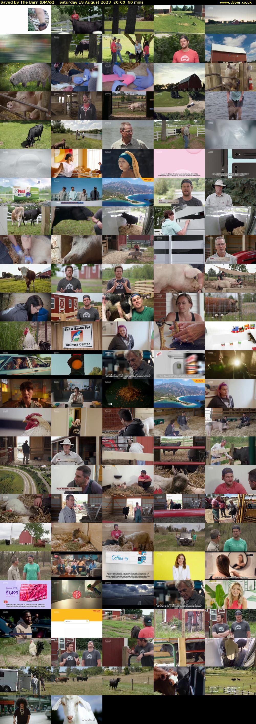 Saved By The Barn (DMAX) Saturday 19 August 2023 20:00 - 21:00