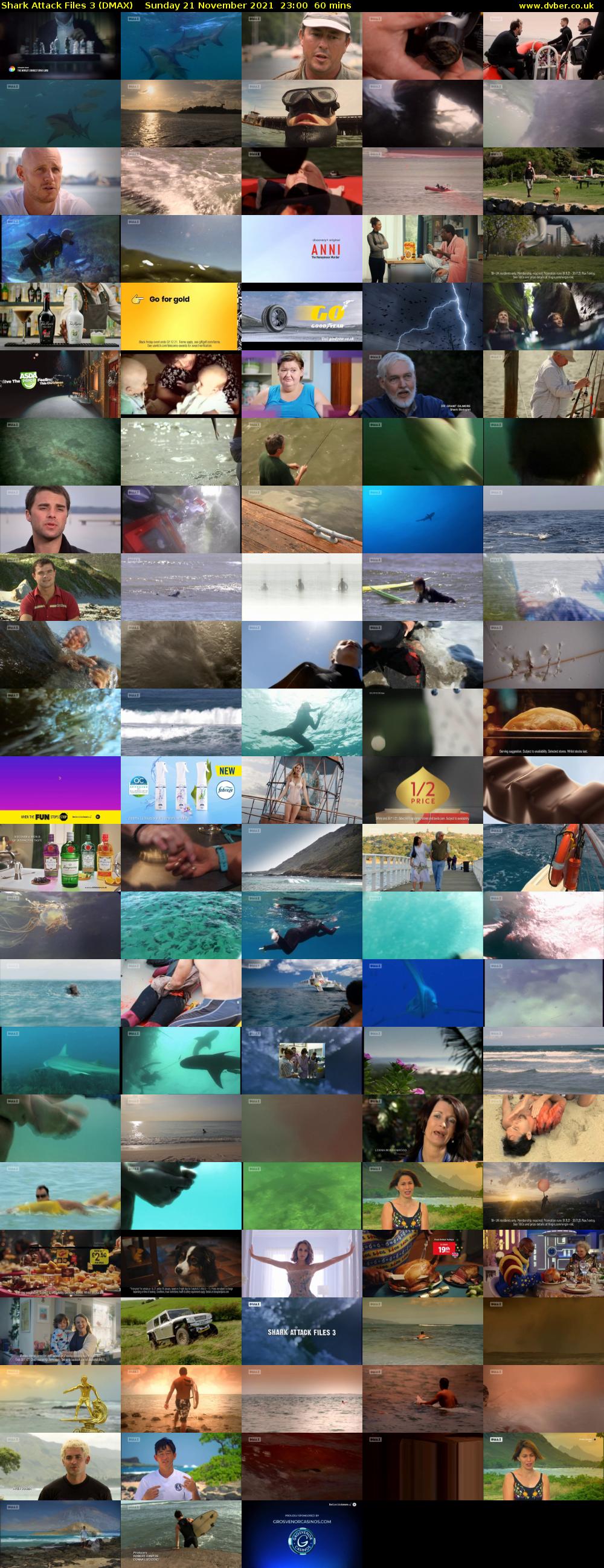Shark Attack Files 3 (DMAX) Sunday 21 November 2021 23:00 - 00:00