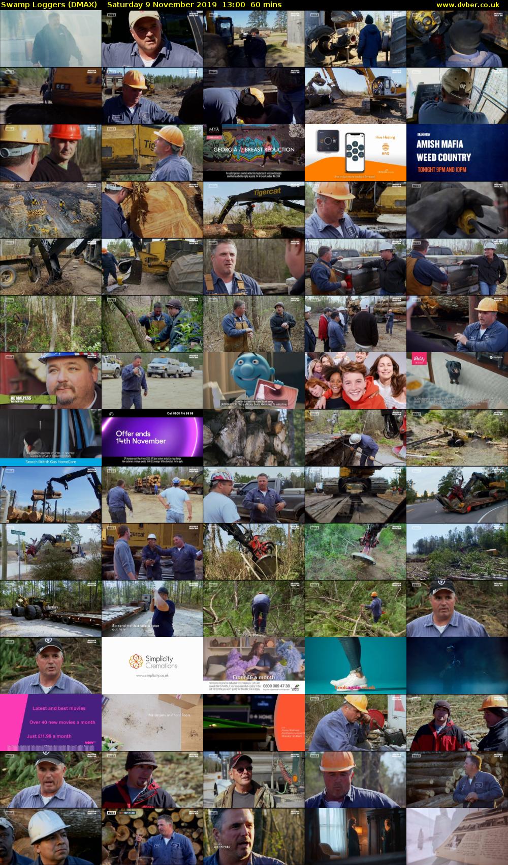 Swamp Loggers (DMAX) Saturday 9 November 2019 13:00 - 14:00