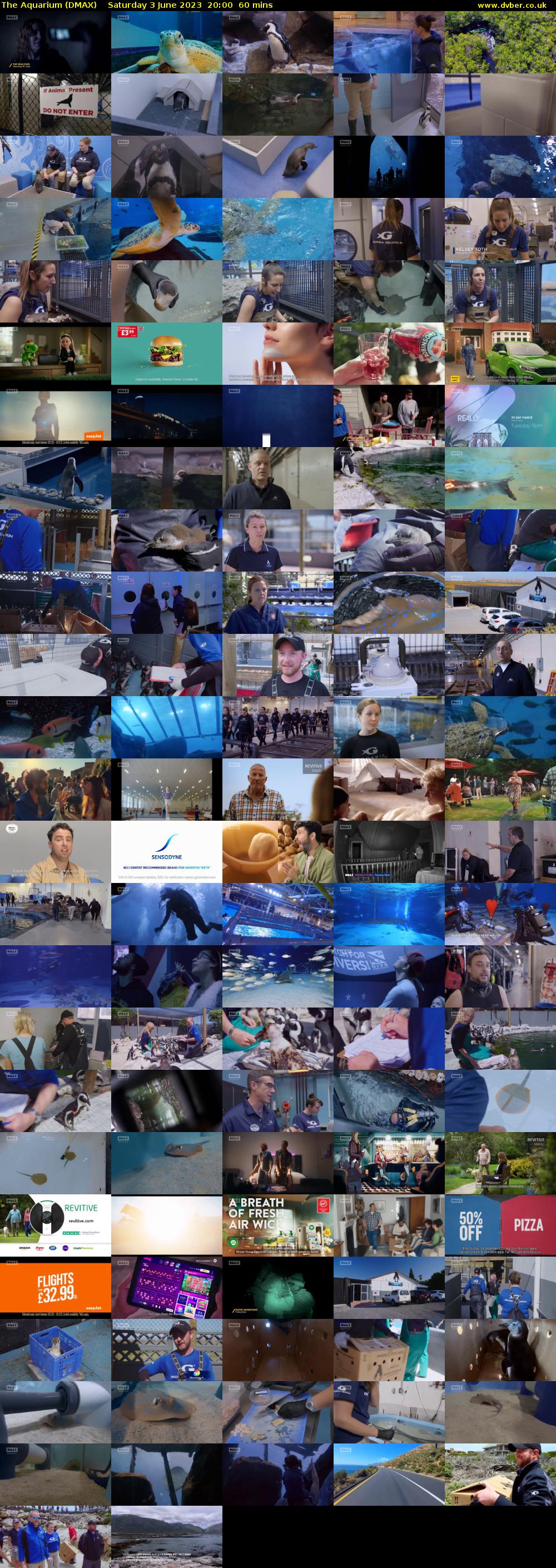 The Aquarium (DMAX) Saturday 3 June 2023 20:00 - 21:00