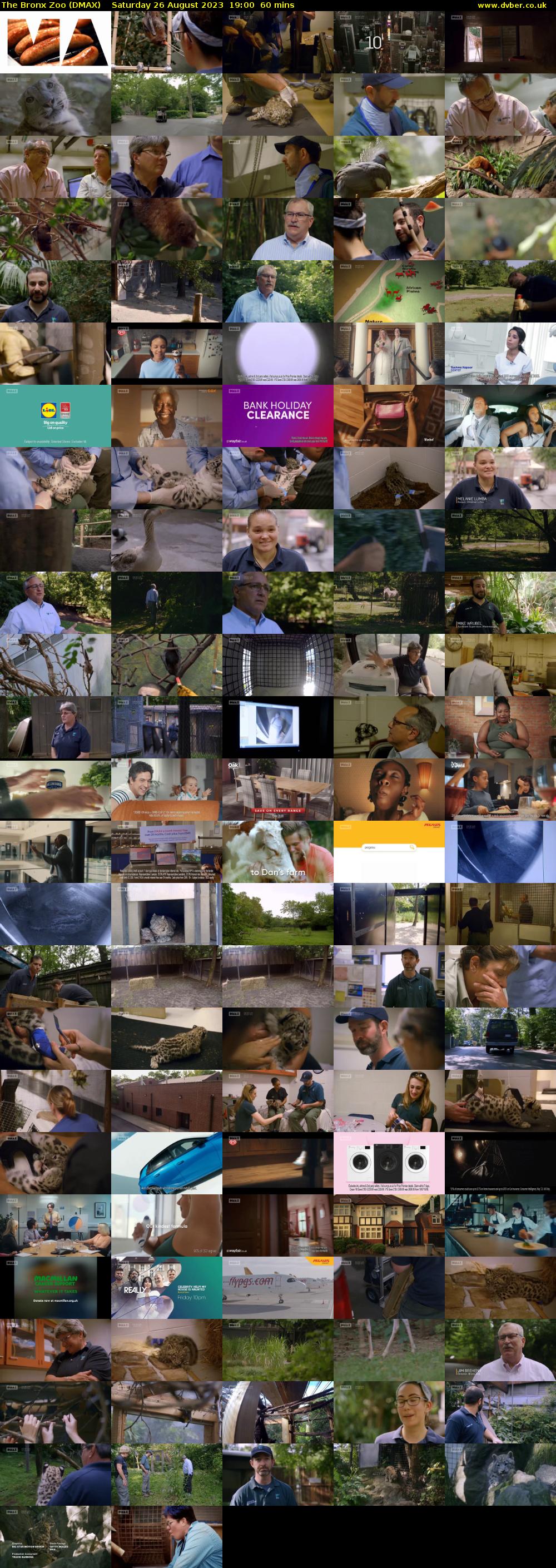 The Bronx Zoo (DMAX) Saturday 26 August 2023 19:00 - 20:00