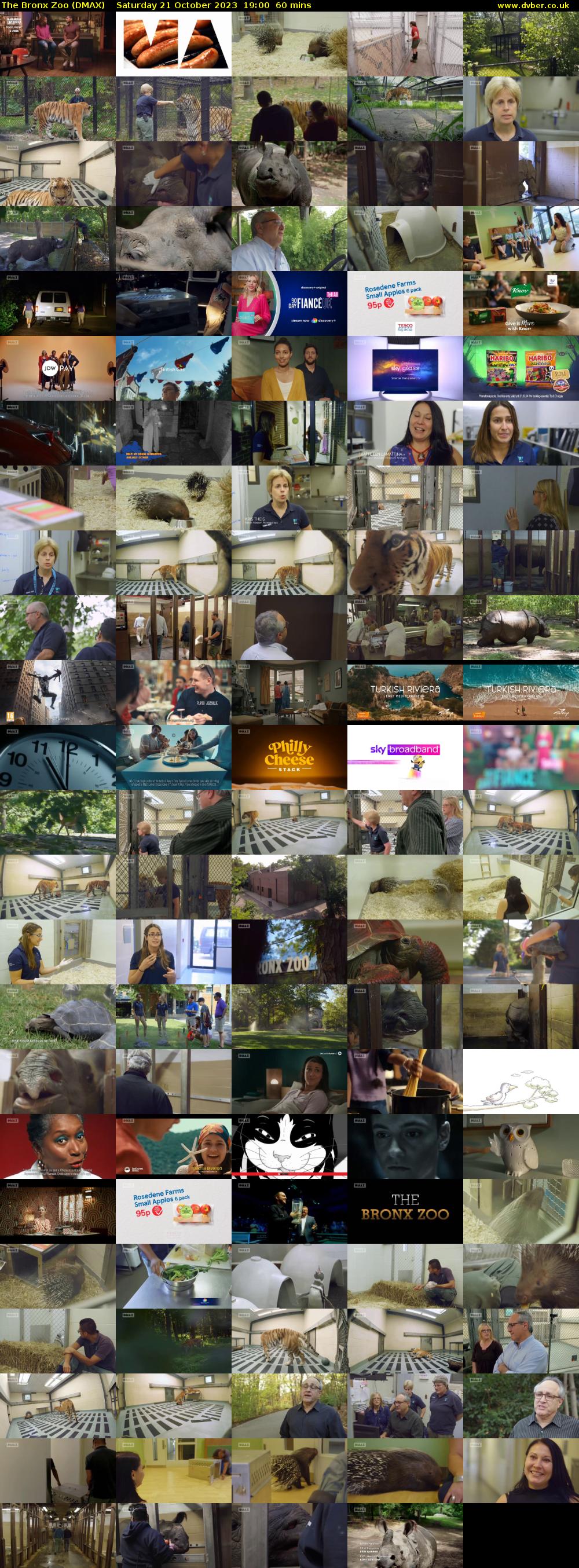 The Bronx Zoo (DMAX) Saturday 21 October 2023 19:00 - 20:00